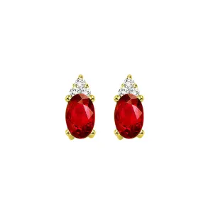 10Kt Yellow Gold Diamond 1/20Ctw & Garnet 5/8Ctw Earring