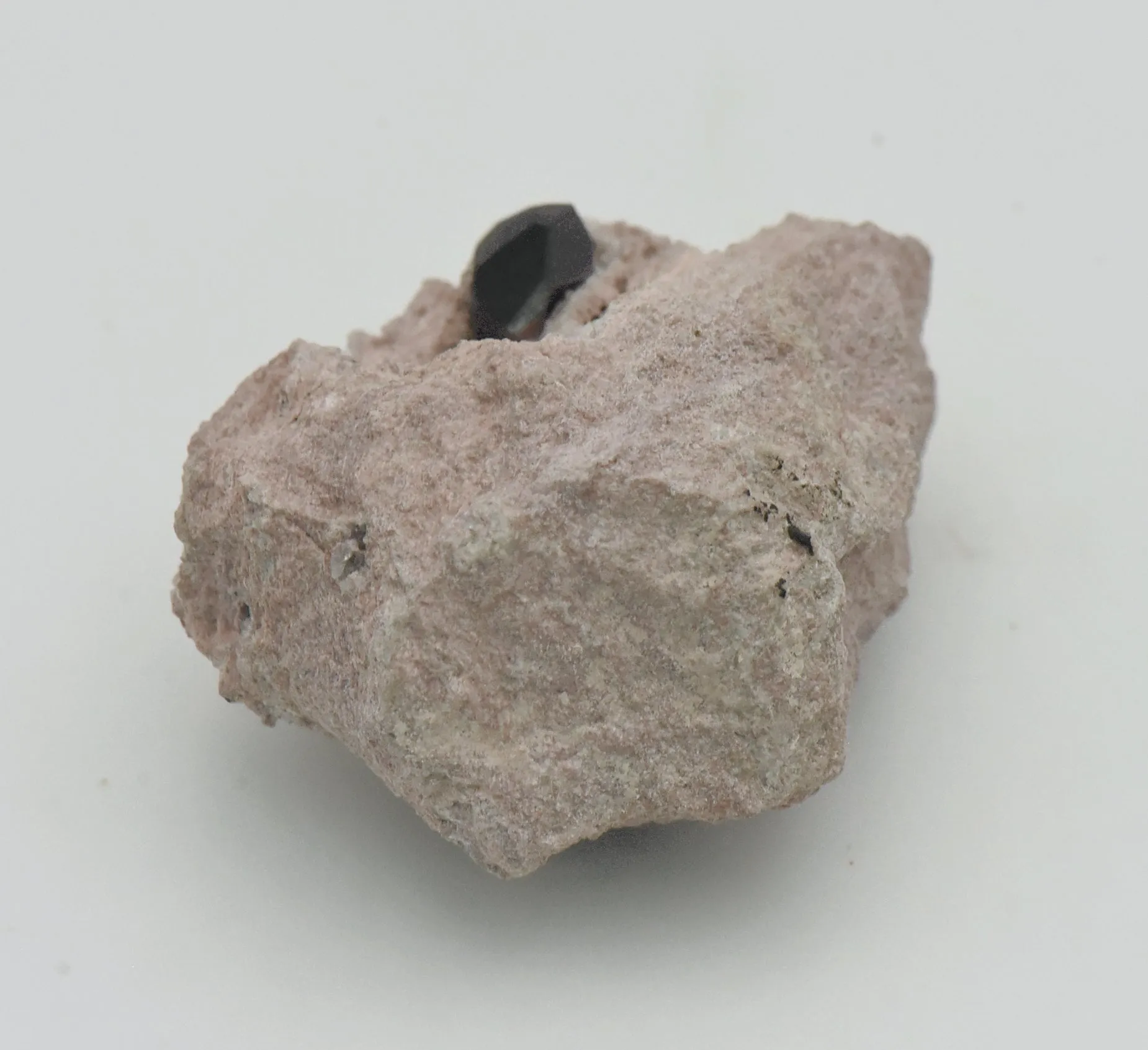 Almandine Garnet with Quartz Druze in Matrix - Nevada, USA