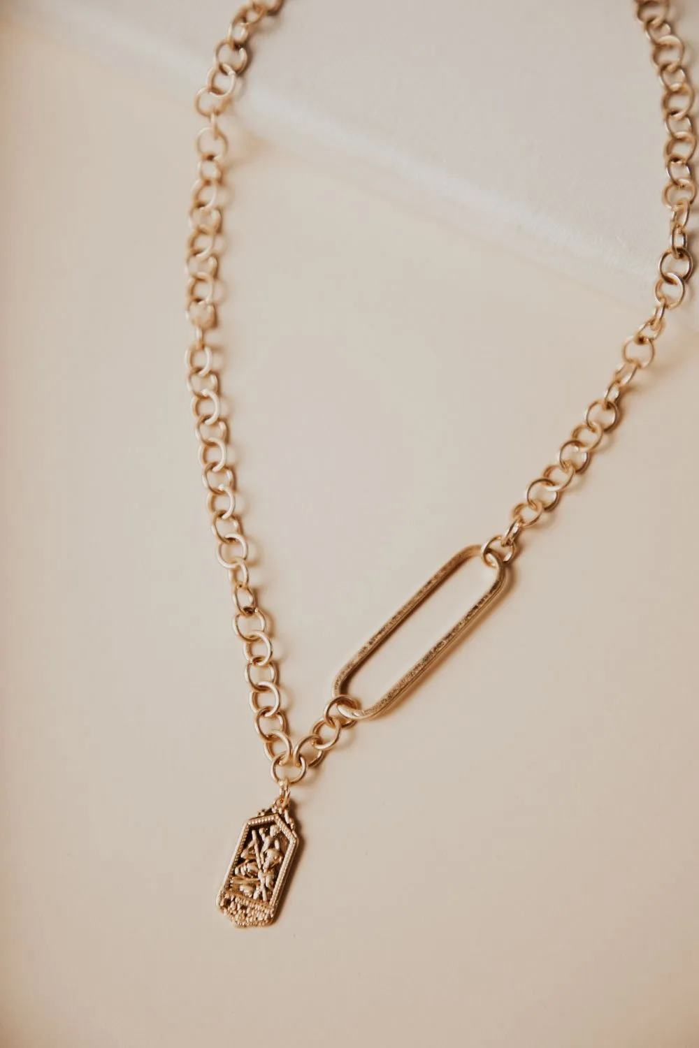 Dahlia Circle Chain Necklace