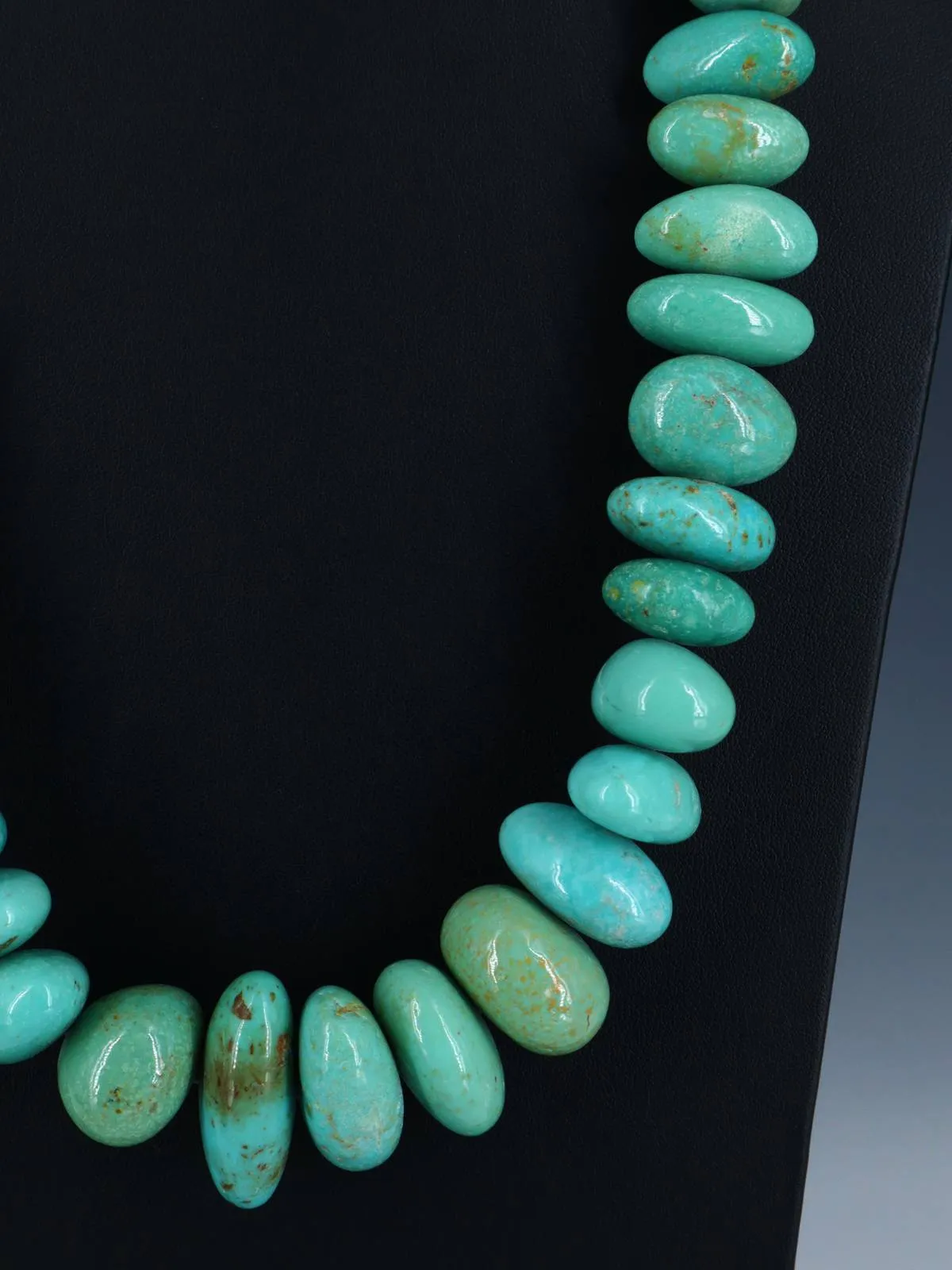 Native American Indian Jewelry Single Strand Turquoise Necklace