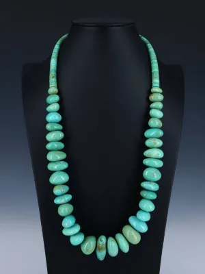 Native American Indian Jewelry Single Strand Turquoise Necklace